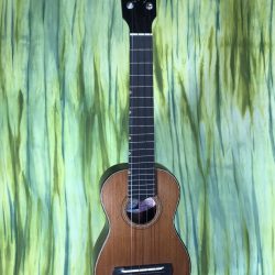 Figure Eight Super Concert Thin Body The Asher 1