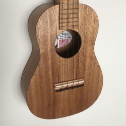 The Wayfarer Model #46-T