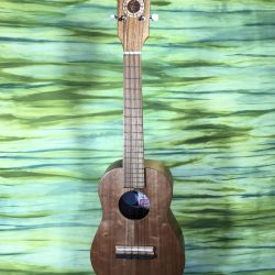 The Wayfarer Model #50-T