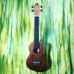 The Inouye Model 1