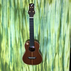 The Hummingbird 1