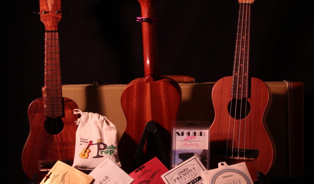 ukulele accessories
