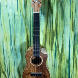 The Yamamoto Model 1